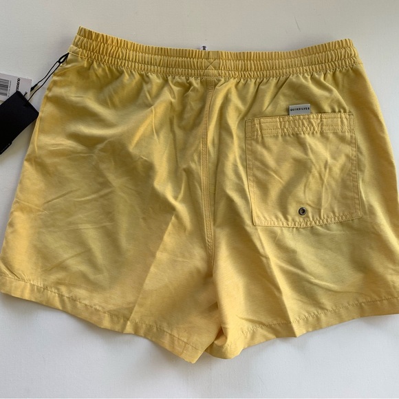 🌴QUIKSILVER Volley Shorts🌴 - Picture 3 of 4